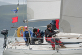 amber haze gbr4177 whyw17 thur gjmc 8318